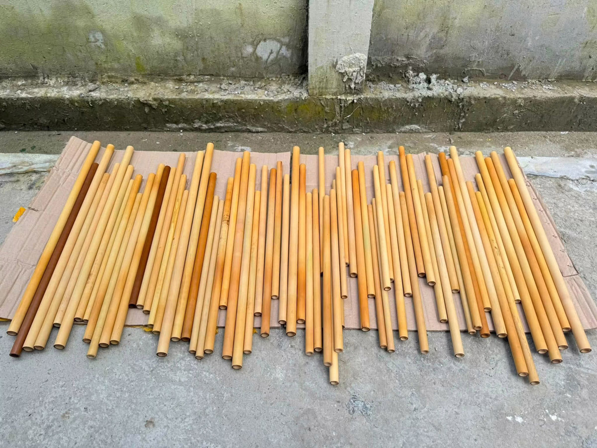Trúc Nứa Làm Sáo 10 Trúc Nứa Làm Sáo - Sáo Trúc Họ Đinh