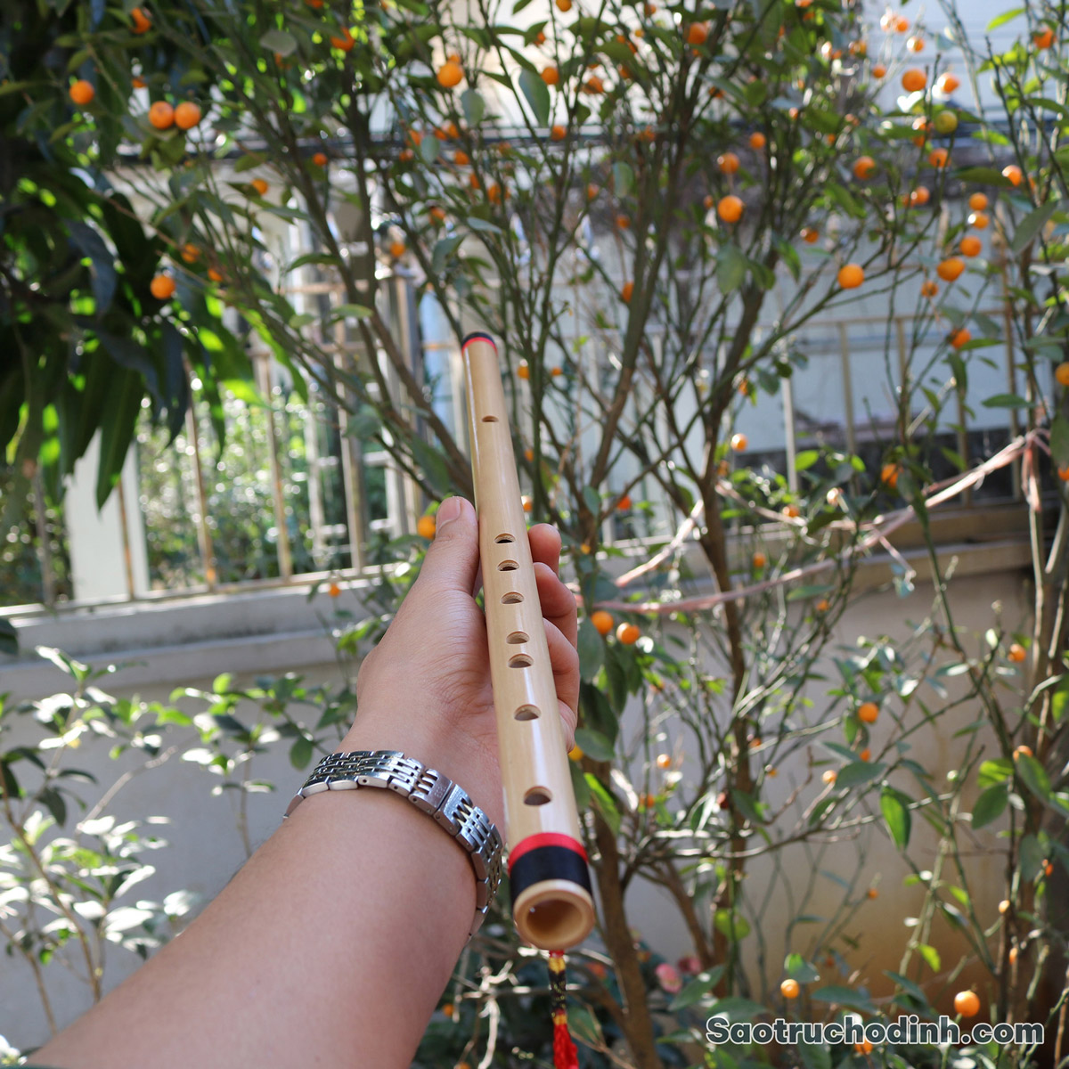 Sáo Nứa Quấn Lụa SNC-04 14 Sáo Nứa Quấn Lụa Bảo Vệ SNC-04 Sáo Trúc Họ Đinh