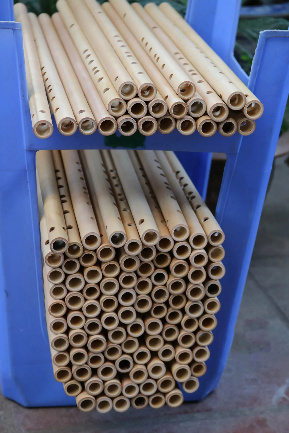 Sáo Si Bình (B4) SNC-02B 12 Sáo Nứa Nam SNC-02 - Sáo Trúc Họ Đinh