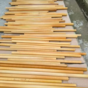 Trúc Nứa Làm Sáo 4 Trúc Nứa Làm Sáo - Sáo Trúc Họ Đinh