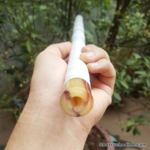 Sáo Dizi Giá Rẻ SDZ-01 8 Sáo Dizi Giá Rẻ SDZ-01 Sáo Trúc Họ Đinh