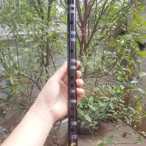 Sáo Dizi Giá Rẻ SDZ-01 5 Sáo Dizi Giá Rẻ SDZ-01 Sáo Trúc Họ Đinh