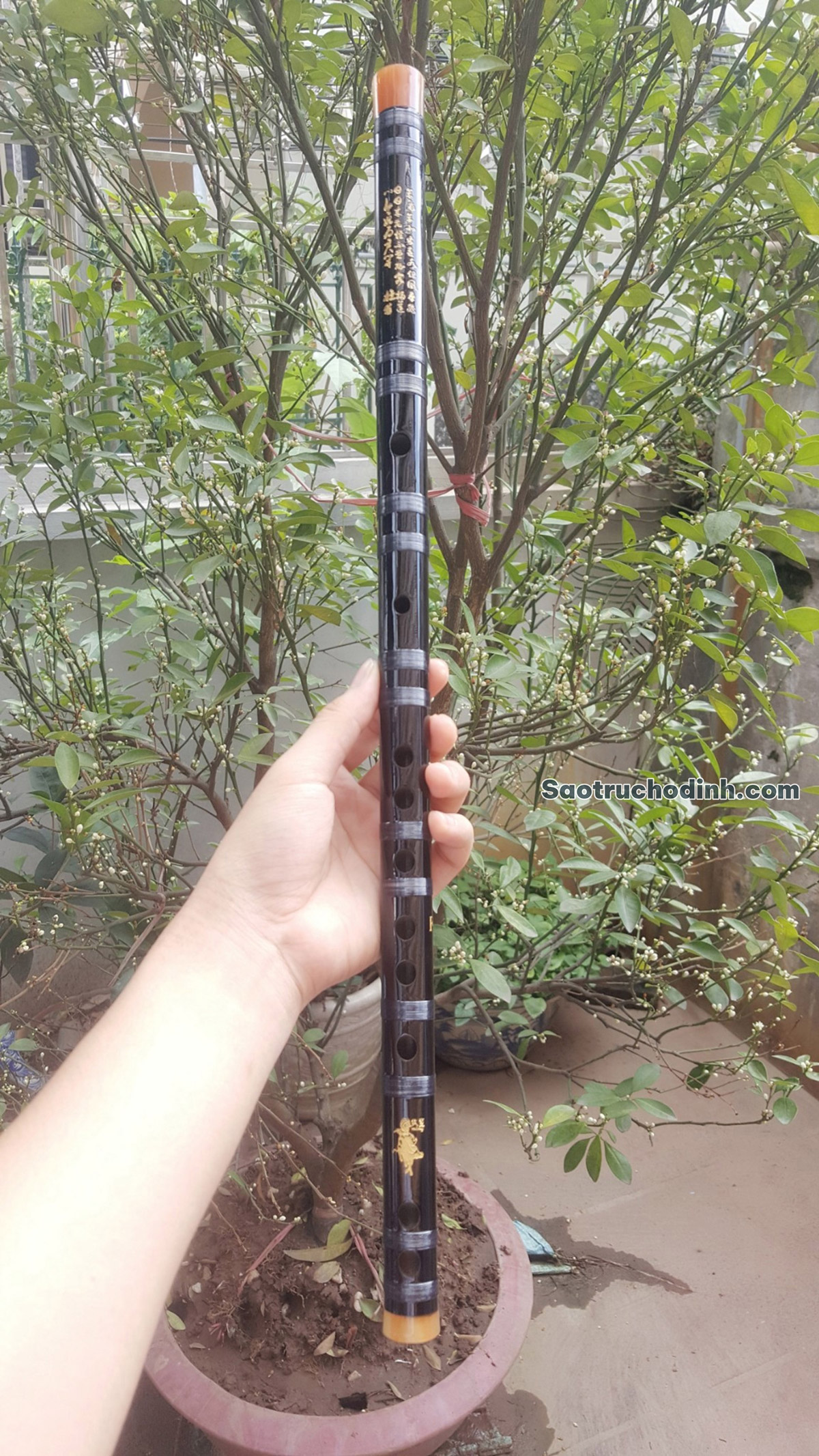 sao-dizi-gia-re-sdz01-sao-truc-ho-dinh-(6) Sáo Dizi Giá Rẻ SDZ-01 Sáo Trúc Họ Đinh