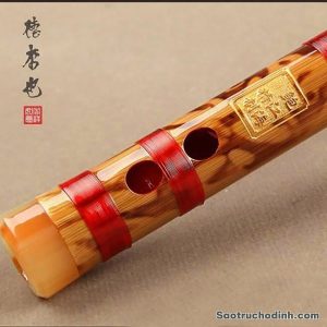 Sáo Dizi Lệ Trúc SDZLT-01 2 Sáo Dizi Lệ Trúc SDZLT-01 Sáo Trúc Họ Đinh