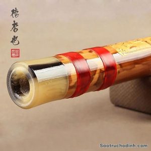 Sáo Dizi Lệ Trúc SDZLT-01 Sáo Trúc Họ Đinh