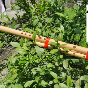 Sáo Mèo Kép SMK-01 3 Sáo Mèo Kép SMK-01 Sáo Trúc Họ Đinh
