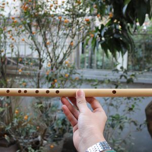 Sáo Nứa Nam SNC-02 7 Sáo Nứa Nam SNC-02 - Sáo Trúc Họ Đinh