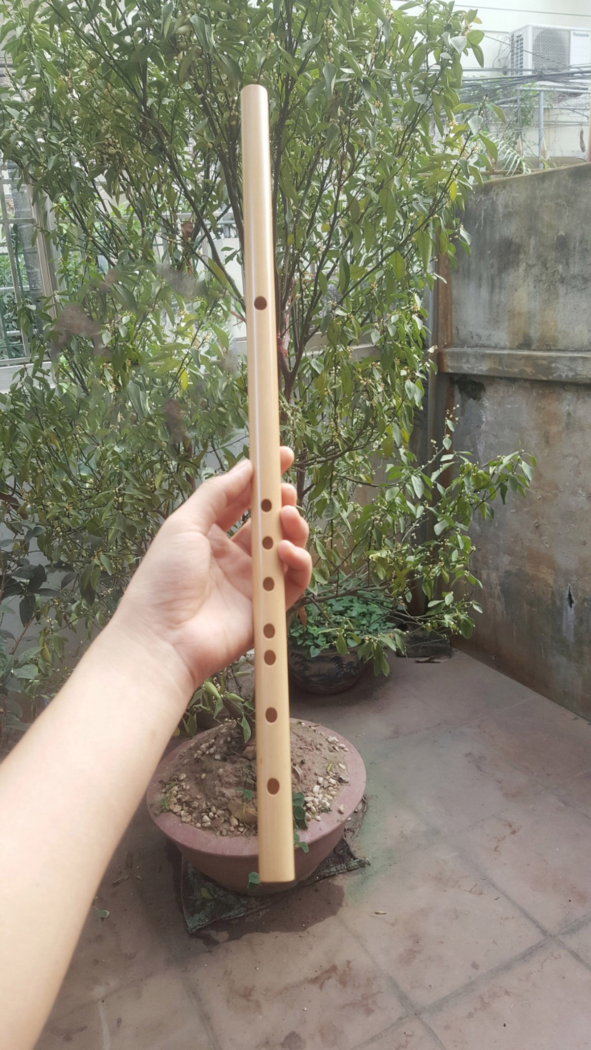 sao-nua-nam-snc02-sao-truc-ho-dinh-(8) Sáo Nứa Nam SNC-02 - Sáo Trúc Họ Đinh