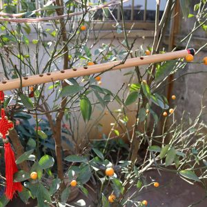 Sáo Nứa Quấn Lụa SNC-04 5 Sáo Nứa Quấn Lụa Bảo Vệ SNC-04 Sáo Trúc Họ Đinh