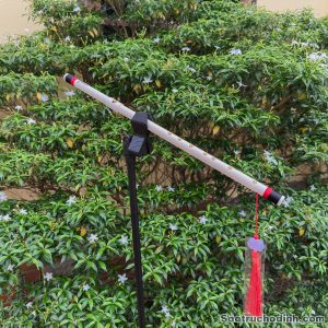 Sáo Nhựa Chuẩn Âm NHC-02 Cho Người Mới - Sáo Trúc Họ Đinh