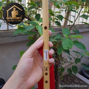 Sáo Trúc Giá Rẻ SCN1 - Sáo Trúc Họ Đinh