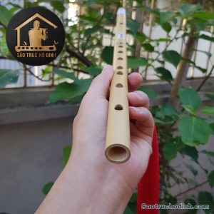 Sáo Trúc Giá Rẻ SCN1 - Sáo Trúc Họ Đinh