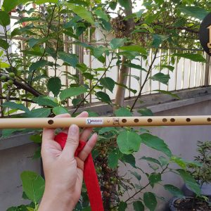 Sáo Trúc Giá Rẻ SCN1 - Sáo Trúc Họ Đinh