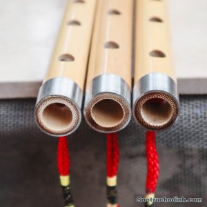 Sáo Trúc Thờ Phượng STP-02 Nứa Nam 4 Sáo Trúc Thờ Phượng STP-02 - Sáo Trúc Họ Đinh