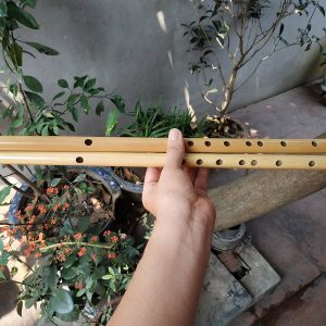 Sáo Nứa Tone Đô C5 SNC-01 - Sáo Trúc Họ Đinh