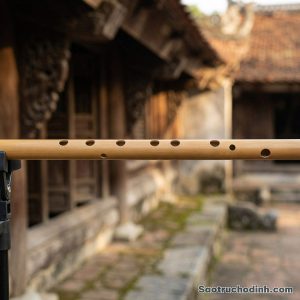 Sáo 10 Lỗ SNC-10 2 Sáo 10 Lỗ SNC-10 - Sáo Trúc Họ Đinh