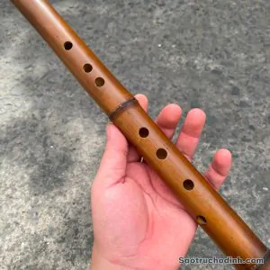 Động Tiêu Bát Khổng TBK-01 - Sáo Trúc Họ Đinh