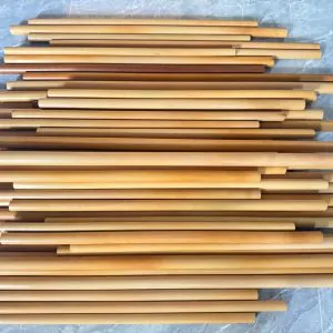 Trúc Nứa Làm Sáo - Sáo Trúc Họ Đinh