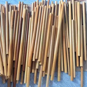 Trúc Nứa Làm Sáo - Sáo Trúc Họ Đinh