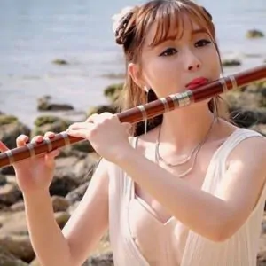 Sáo Dizi DongMin SDZDM-01 Sáo Trúc Họ Đinh