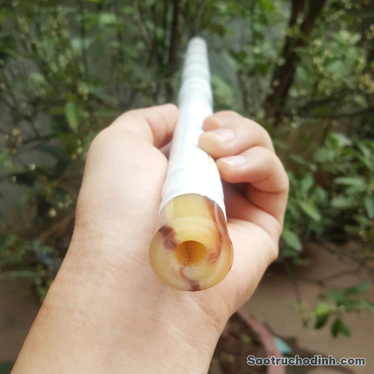 Sáo Dizi Giá Rẻ SDZ-01 Sáo Trúc Họ Đinh