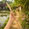 Sáo Dọc Nứa Bắc SDNB-01 1 Sáo Dọc Nứa Bắc SDNB-01 Sáo Trúc Họ Đinh