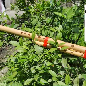 Sáo Mèo Kép SMK-01 Sáo Trúc Họ Đinh