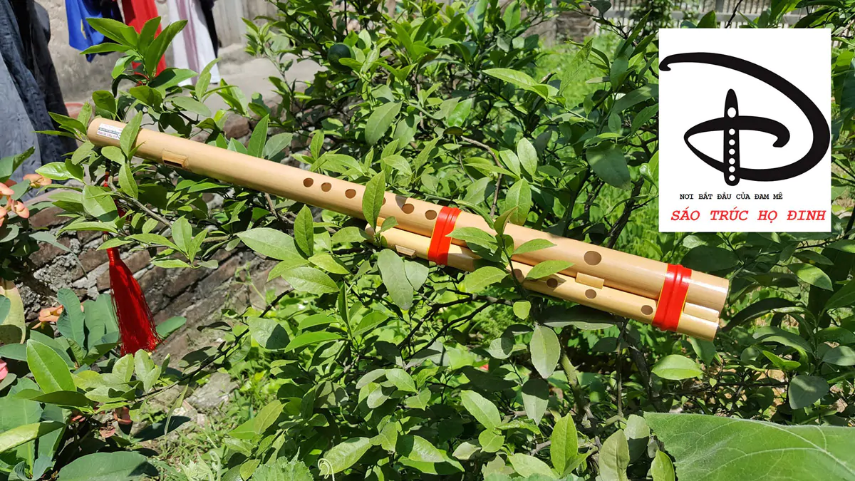Sáo Mèo Kép SMK-01 Sáo Trúc Họ Đinh
