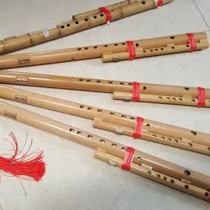 Sáo Mèo