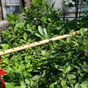 Sáo Nứa Khớp Nối SNC-05 5 Sáo Nứa Khớp Nối SNC-05 - Sáo Trúc Họ Đinh