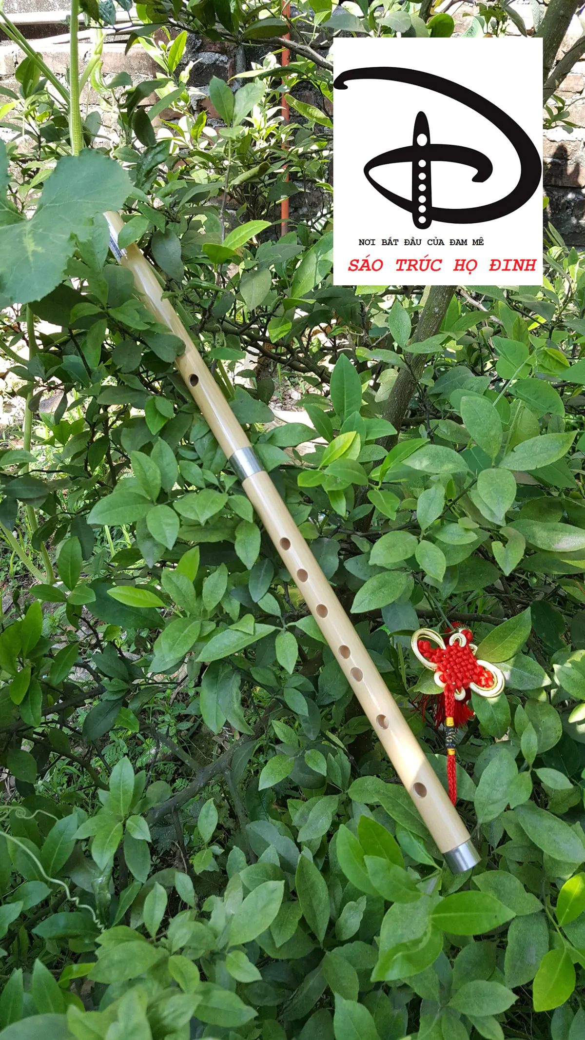 sao-nua-khop-noi-snc05-sao-truc-ho-dinh-(8) Sáo Nứa Khớp Nối SNC-05 - Sáo Trúc Họ Đinh