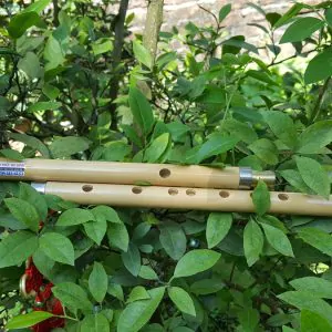 Sáo Nứa Khớp Nối SNC-05 6 Sáo Nứa Khớp Nối SNC-05 - Sáo Trúc Họ Đinh