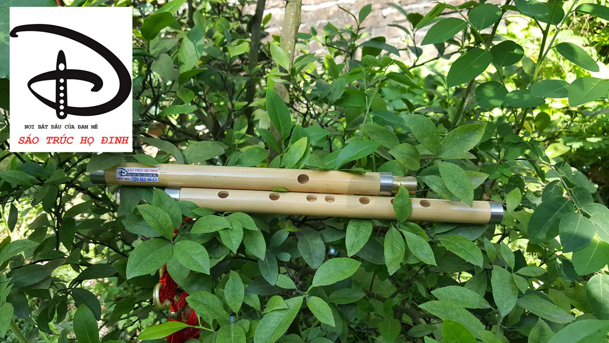 sao-nua-khop-noi-snc05-sao-truc-ho-dinh-(9) Sáo Nứa Khớp Nối SNC-05 - Sáo Trúc Họ Đinh