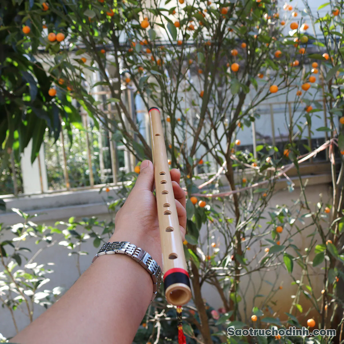 Sáo Nứa Quấn Lụa Bảo Vệ SNC-04 Sáo Trúc Họ Đinh