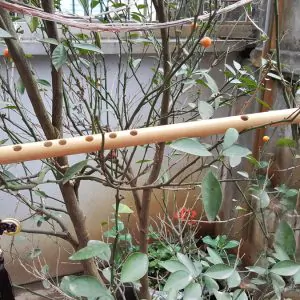 Sáo Nứa Quấn Lụa Bảo Vệ SNC-04 Sáo Trúc Họ Đinh