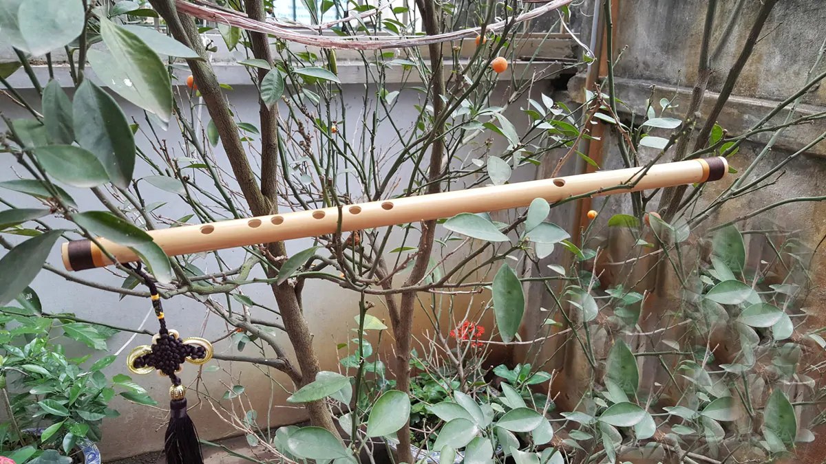 Sáo Nứa Quấn Lụa Bảo Vệ SNC-04 Sáo Trúc Họ Đinh