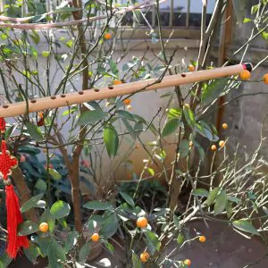 Sáo Nứa Quấn Lụa Bảo Vệ SNC-04 Sáo Trúc Họ Đinh