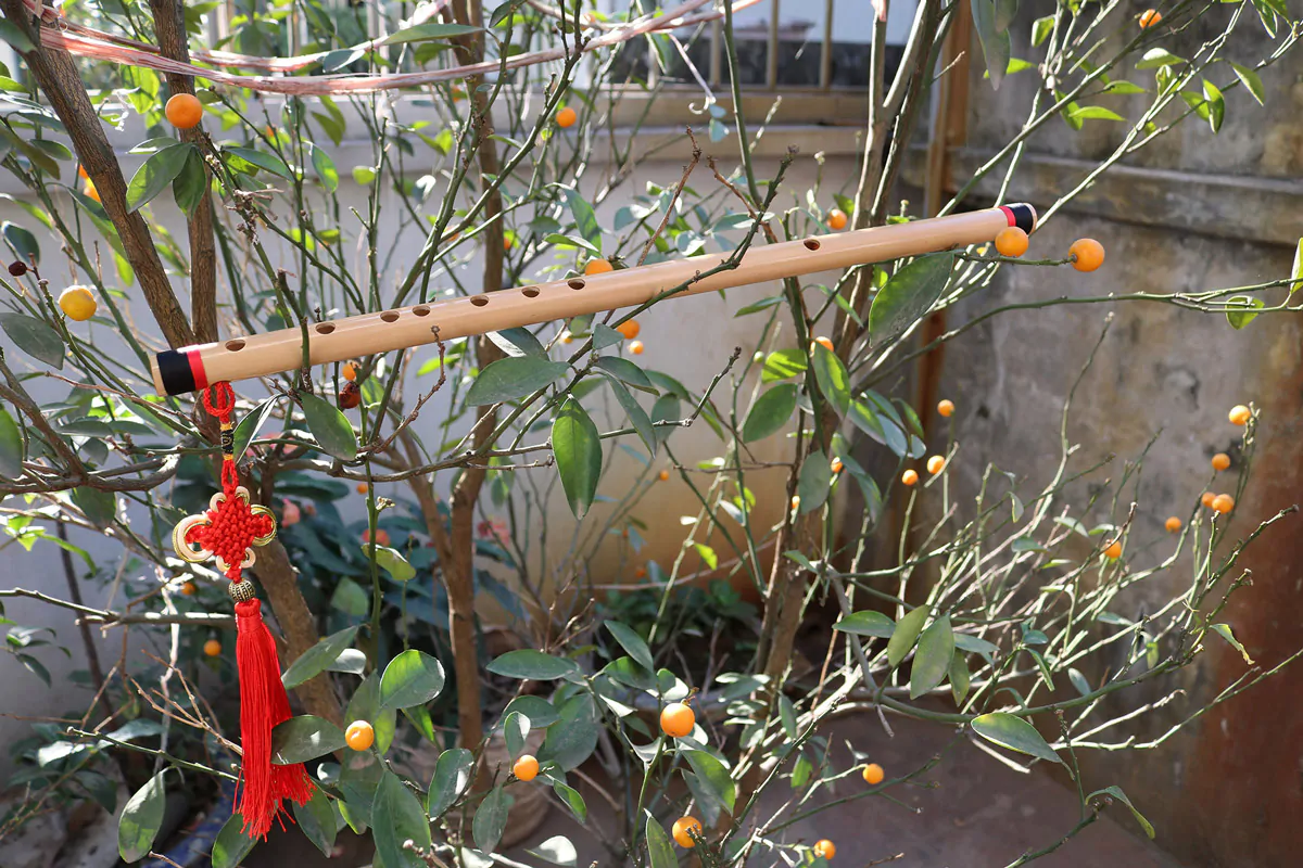 Sáo Nứa Quấn Lụa Bảo Vệ SNC-04 Sáo Trúc Họ Đinh