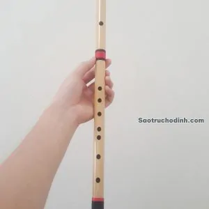 Sáo Nứa Quấn Lụa Bảo Vệ SNC-04 Sáo Trúc Họ Đinh