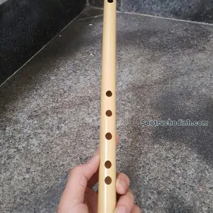 Sáo Sol Trầm (G4) SNC-04G4 3 Sáo Sol Trầm (G4) SNC-04G4 - Sáo Trúc Họ Đinh