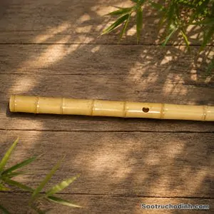 Sáo Trúc Bạch Cao Cấp STB-03 - Sáo Trúc Họ Đinh