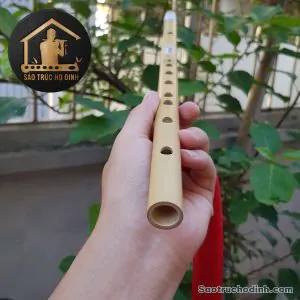 Sáo Trúc Giá Rẻ SCN1 - Sáo Trúc Họ Đinh