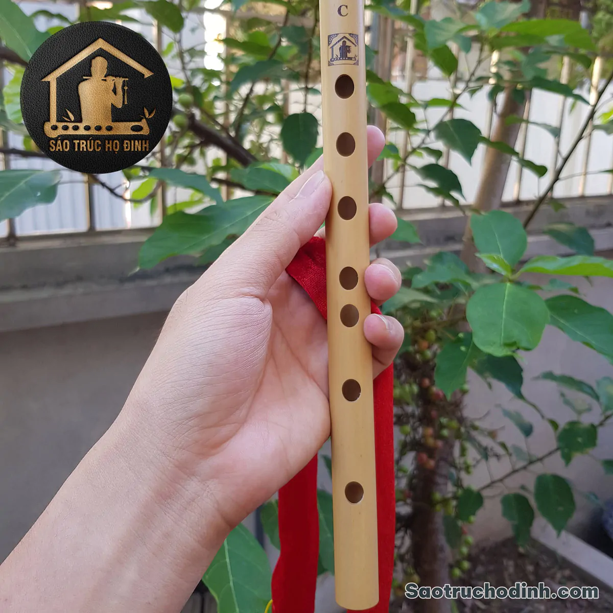 Sáo Trúc Giá Rẻ SCN1 - Sáo Trúc Họ Đinh