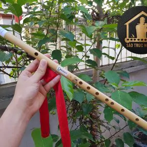Sáo Trúc Giá Rẻ SCN1 - Sáo Trúc Họ Đinh