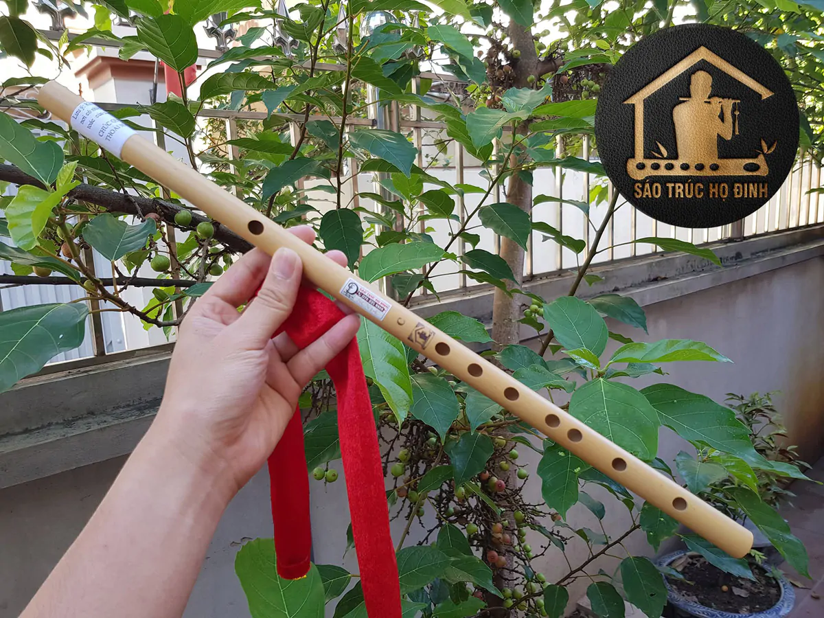 Sáo Trúc Giá Rẻ SCN1 - Sáo Trúc Họ Đinh
