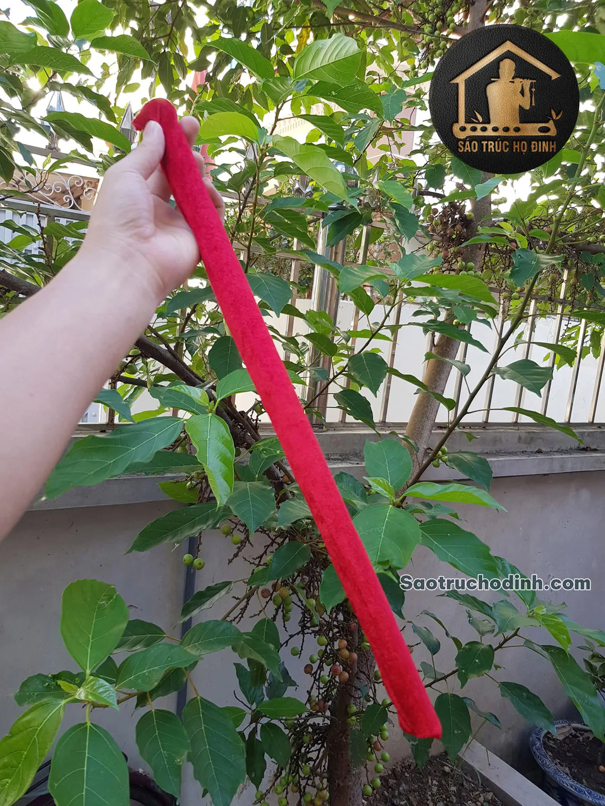Sáo Trúc Giá Rẻ SCN1 - Sáo Trúc Họ Đinh