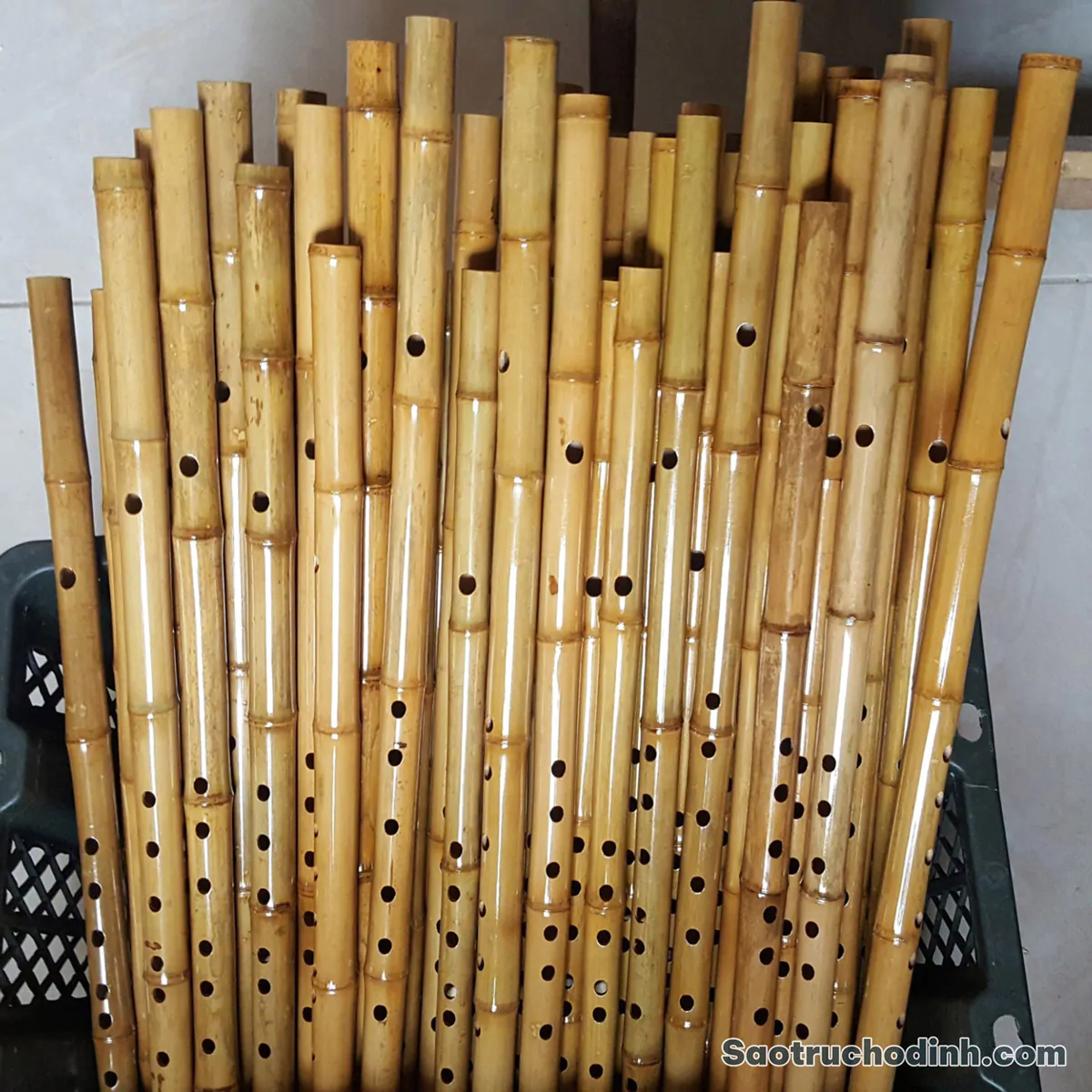 Sáo Trúc Giá Rẻ ST-01 - Sáo Trúc Họ Đinh