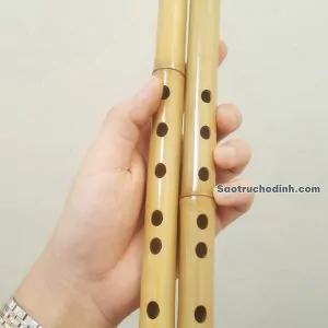 Sáo Trúc Giá Rẻ ST-01 - Sáo Trúc Họ Đinh