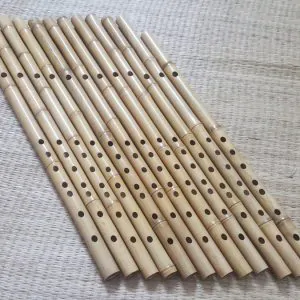 Sáo Trúc Giá Rẻ ST-01 - Sáo Trúc Họ Đinh