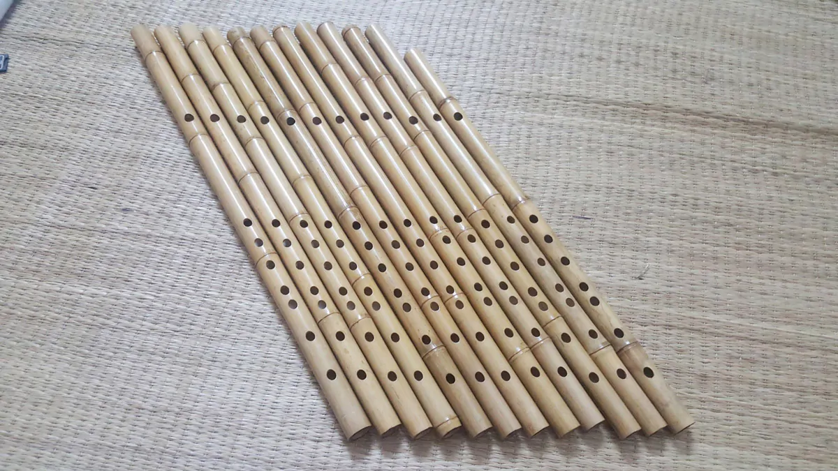 Sáo Trúc Giá Rẻ ST-01 - Sáo Trúc Họ Đinh